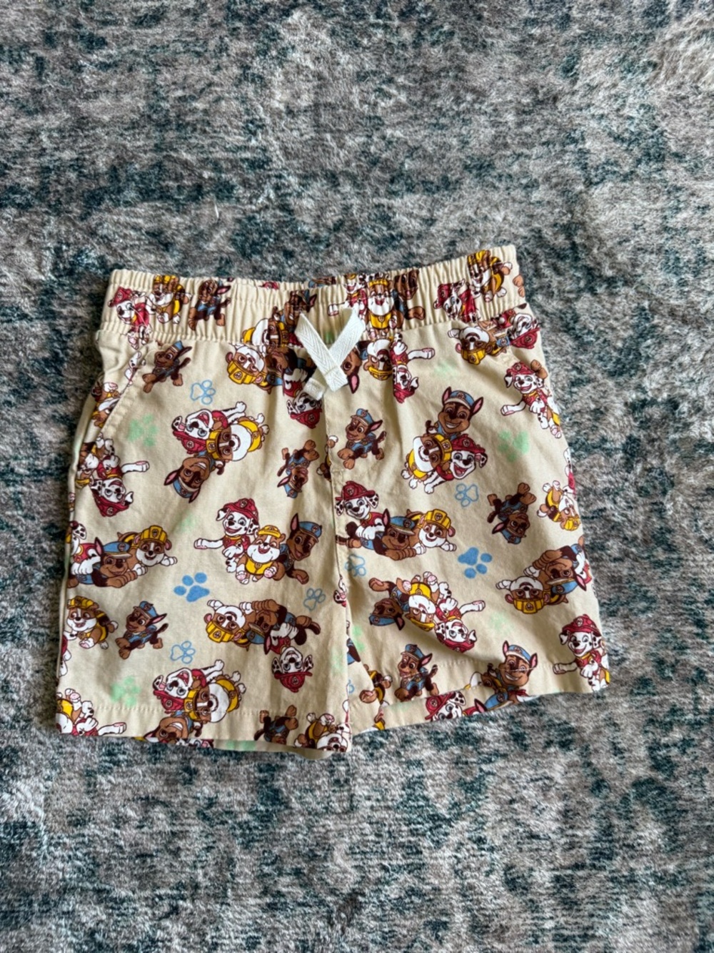 Nickelodeon Paw Patrol Kids Swim Trunks